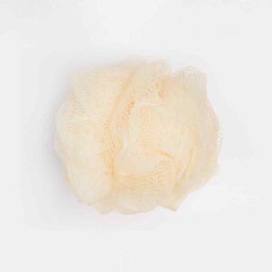 https://centre-epine.fr/wp-content/uploads/2013/06/sponge2-300x300.jpg